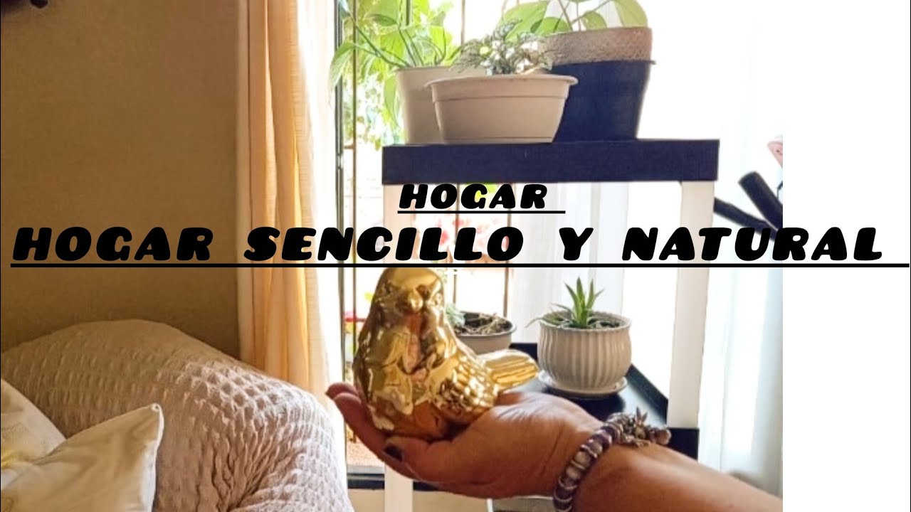 💖Decorando con calma /plantas y decoración sencilla de amor. 💖