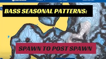 Bass Seasonal Patterns:  Spawn - Post Spawn