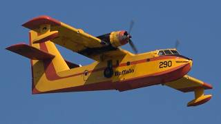 Buffalo Airways Canadair CL-215 - Gander Airport - Takeoff & Landing