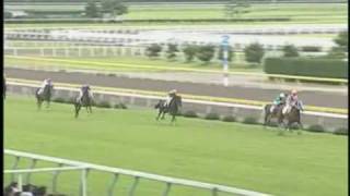 競馬の珍事件とかあったら教えて 優良競馬予想サイト潜入体験記