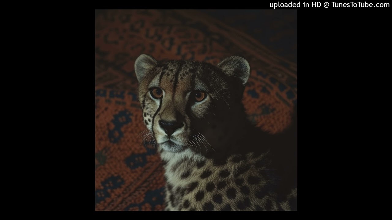 predator type beat (prod. justxrolo)