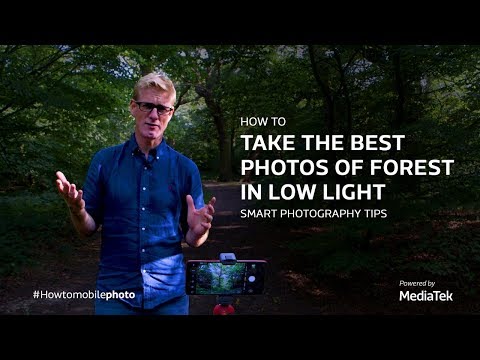 how-to-take-the-best-photos-of-forest-in-low-light-|-smart-photography-tips