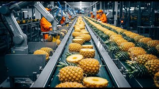 How They Harvest Pineapples for Juice: Inside the World’s Biggest Pineapple Factory