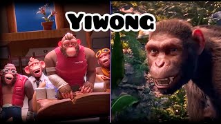 Chinese Monkey Singing  Yi Wang Yiwang Dou  Monkey Dance