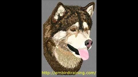 Embird Digitizing Tutorials with Phil, 224+ classes for $100.00