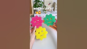 Review Miếng Rửa Chén Bọt Biển Scrub Mommy | Hoa Phạm TV