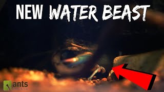 Ants vs. New Water Beast 'Kraken'