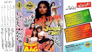 Na Dil Bolta Na Nazar (Jungal Ki Beti) | Jungal Ki Beti & Mohabbat Ki Aag | PMC STEREO