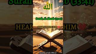दिल बेचैन है?😢 Your Heart Is Empty.. Remember Allah Quran 33:41 #allah #islamicmotivation #shorts