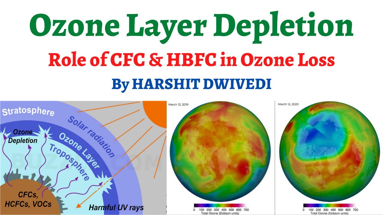 Ozone Gas a Boon or Bane, What is Ozone Layer Depletion and Role of