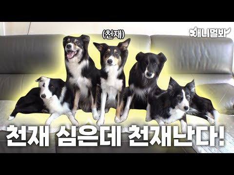 아가덜아 엄마만 따라와. 다 알려준다ㅣHey guys, just follow Mom. I will teach you guys everything