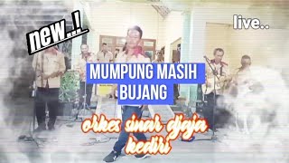 mumpung masih bujang awara orkes jadul sinar djaja kediri #dangdutkenangan #dangdutjadul #lagujadul