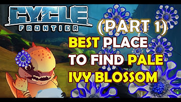 PALE IVY BLOSSOM BEST PLACE TO FIND (PART 1) | THE CYCLE: FRONTIER