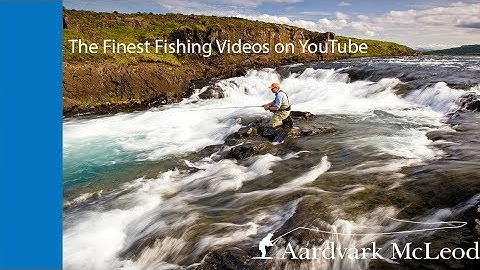 Aardvark McLeod YouTube Introduction Video