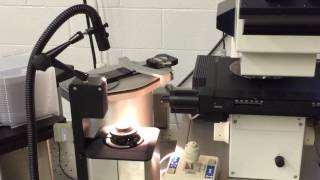 Leica Vistec INS1000 wafer loader demo