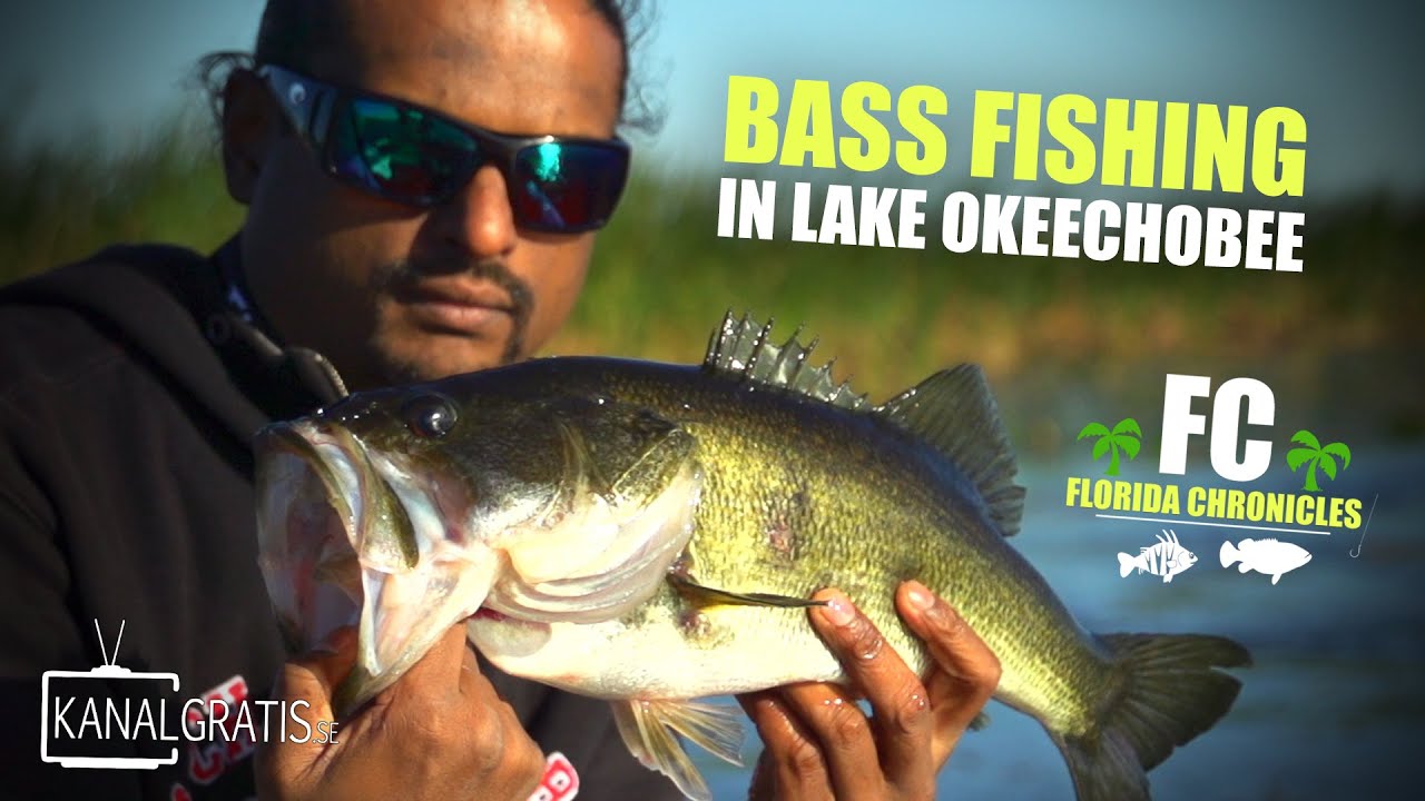 Florida Chronicles Float Fishing Largemouth Bass in Lake Okeechobee