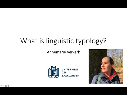 What is linguistic typology?