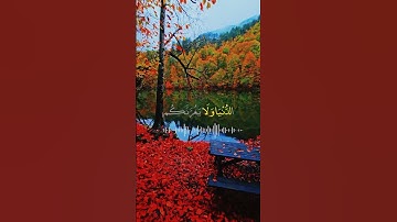 ياسر الدوسري:تلاوة خاشعة❤️🥰 #راحة_نفسية #قران_كريم #المصحف #quran_kareem #متابعة #ياسر_الدوسري #لايك