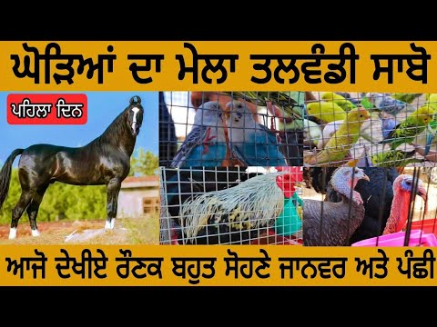 ਘੋੜਿਆਂ ਦਾ ਮੇਲਾ ਤਲਵੰਡੀ ਸਾਬੋ horse Mela Talwandi sabo #vlog88 DENVER VLOGS 2022