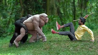 Crazy Gorilla Attack An African Gorilla Funny Chimpanzee Monkey And Wild Animal Films