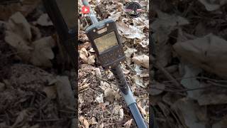 Sygnał duszek #metaldetecting #xpdeus #poszukiwania #polska #hobby #treasuresearch #fan