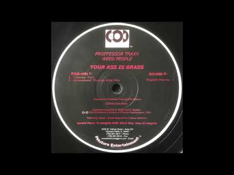 Proffessor Traxx — Professor Traxx Weed People – Greenland (Thump Edit Mix) (1999)