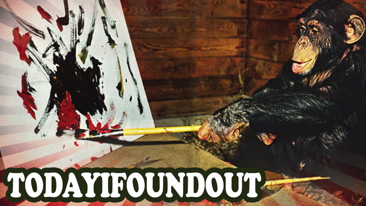 The Critically Acclaimed Artist Who Turned Out to Be a Chimpanzee - YouTube