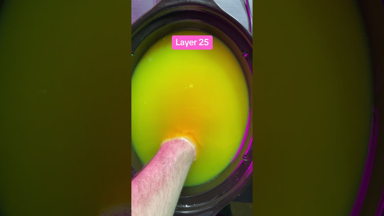 What Did I Just Watch 