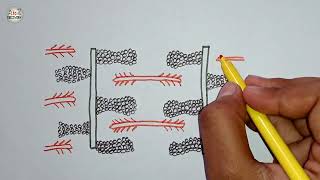 How To Draw Diagram of Sarcomere/Showing I band, A band, H zone and z line / anatomy of muscle fiber