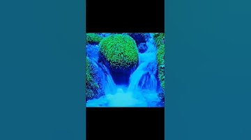 ارح قلبك .... من سورة النمل [ القارئ الياس حجري] #اكسبلور #دويتو #duet