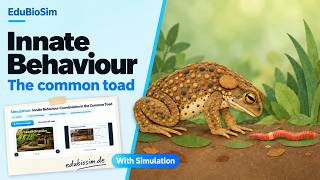 Fixed Action Patterns Explained | The Common Toad and Key Stimuli