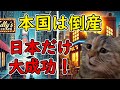 【猫ミーム】アメリカ本社は倒産…日本だけ大成功！タリーズコーヒーの逆転劇が凄すぎた