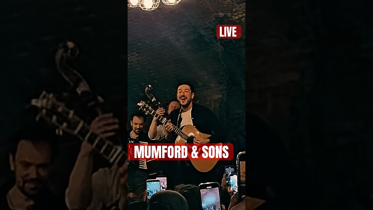 A Whole Room Singing Little Lion Man Together… Goosebumps. 🎶🦁