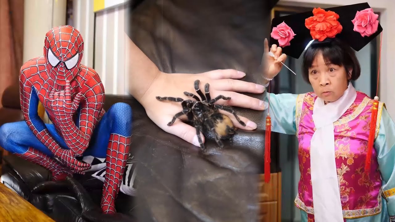 Counterattack full version：Boy bitten by spider turns into Spider-Man and rebels against his mother