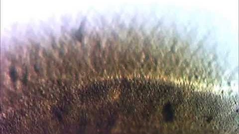 Stress whitening in dots produced by indentation