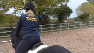 Suzanne Lidbetter4851 Class 2 B WALK, TROT