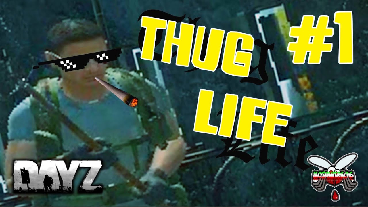 Dayz SA " THUG LIFE " ONE HITTER QUITTER FUNNY WTF MOMENTS - YouTube