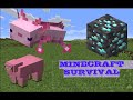 Gặp Pink Sheep, Axolotl, Diamond trong Minecraft sinh tồn 1.17 #2)