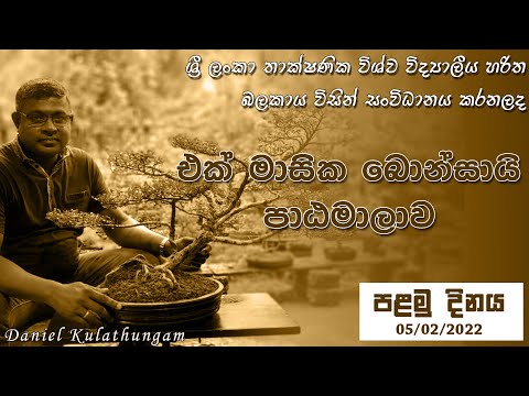 Bonsai Course (First Day) බොන්සායි පාඨමාලාව (පළමු දිනය)