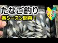 【春シーズンイン！】タナゴ釣り