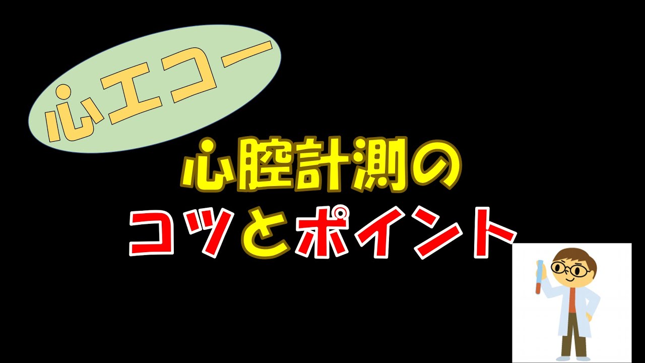 心エコー検査の正しい進め方と計測のコツ Part1 & Part2 アスリード hq720.jpg?sqp=-