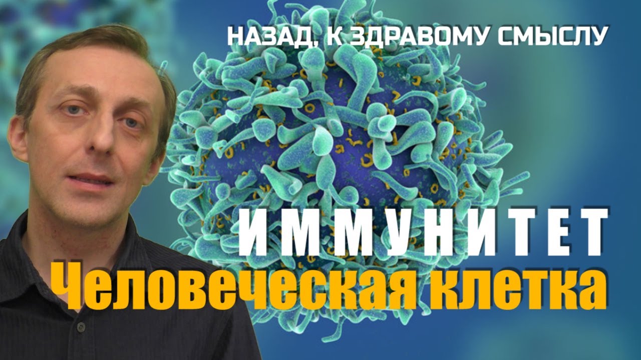 С чего начинается иммунитет. Кратко о человеческой клетке. - YouTube
