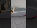 Morgen 3-Wheeler EV Concept Prototyp 1:6 RC Car