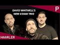 David whitwells new amsterdam trio  concert haarlem  pletterij haarlem