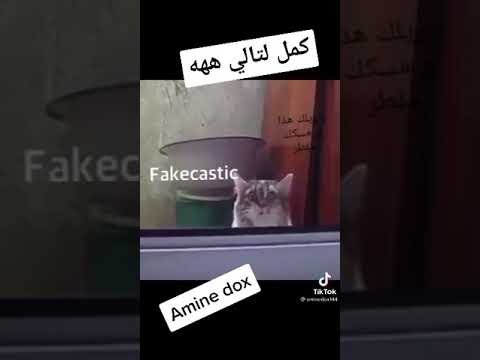 عبد الله النهاري تعصبه و تيره للوحة شاهد بنفسك