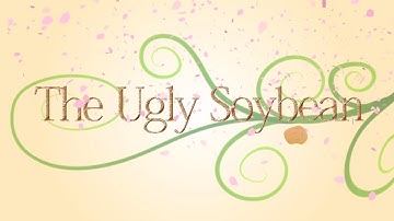 The Ugly Soybean｜Motion Graphics Work｜BYND