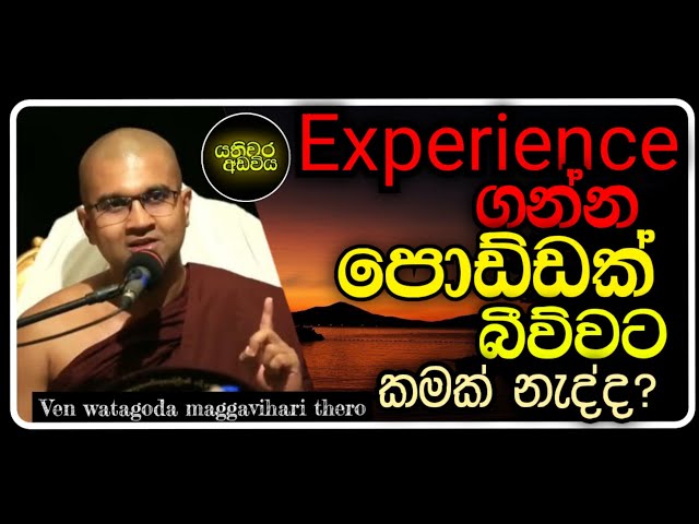 Experience ගන්න බිව්වට කමක් නැද්ද? |Ven.watagoda maggavihari thero |yathiwara adawiya