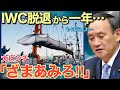 【海外の反応】日本のIWC脱退から1年、「日本は好き勝手やるのでは」と思ってた反捕鯨派のその後とは！？【にほんのチカラ】