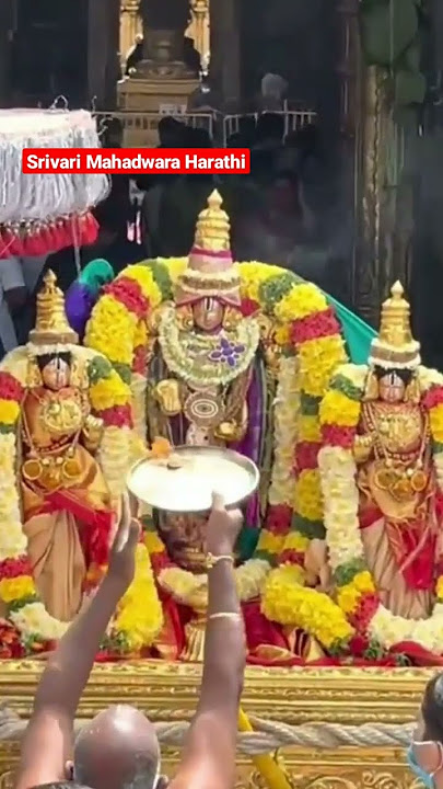 Tirumala Vaibhavam #tirumala #tirupatibalaji @SriVidyaSecrets #shorts #venkateshwaraswamy