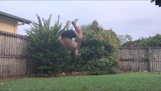 Celebrity Best of Jack Dixon Net Worth